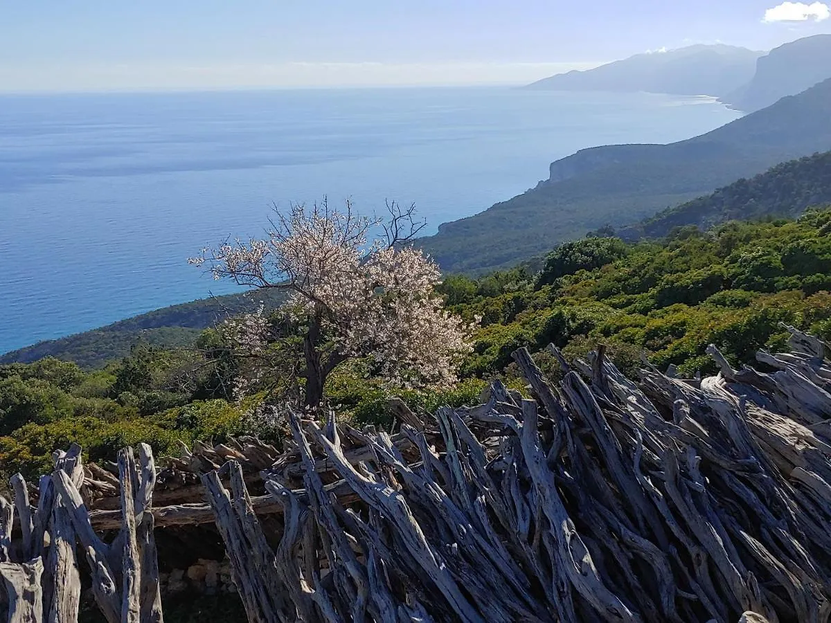 Affittacamere Dorgali B&B Da Zietto